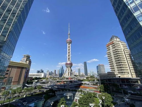 上海總部經(jīng)濟(jì)又添 新鮮血液