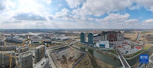 新春開新局 上海自貿區(qū)臨港新片區(qū)貿易建設熱潮涌動